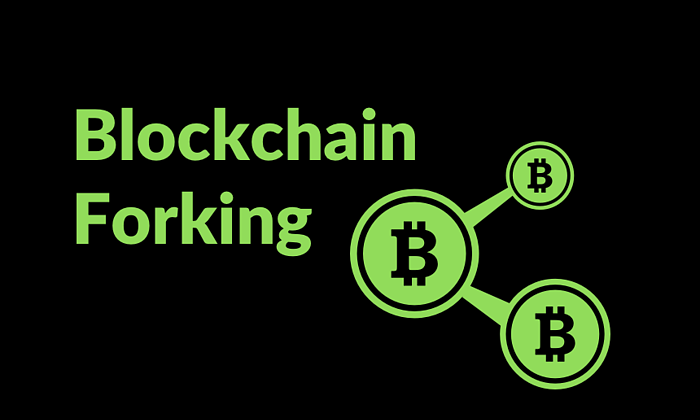 What is meant by forking in a Blockchain?